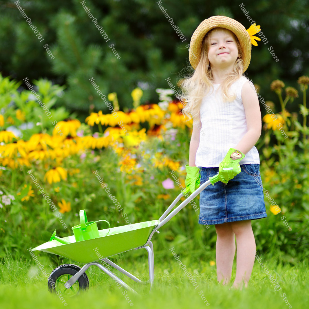 Kids Outdoor Wheelbarrow, Gree - Kids Outdoor Playset 评论和价格