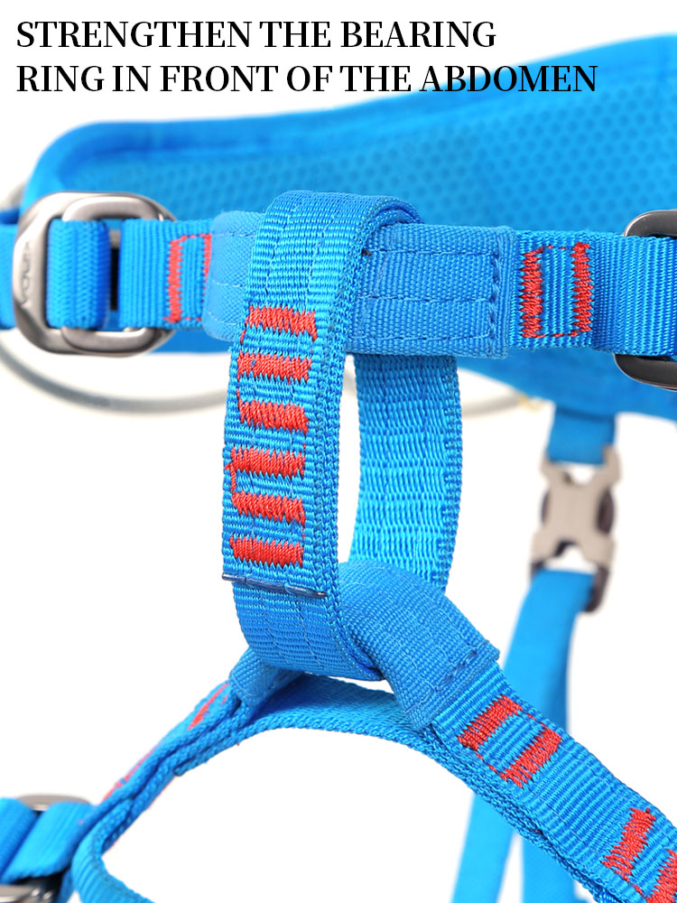 Xinda Children Half Body Safet - Kids Outdoor Climber 评论和价格